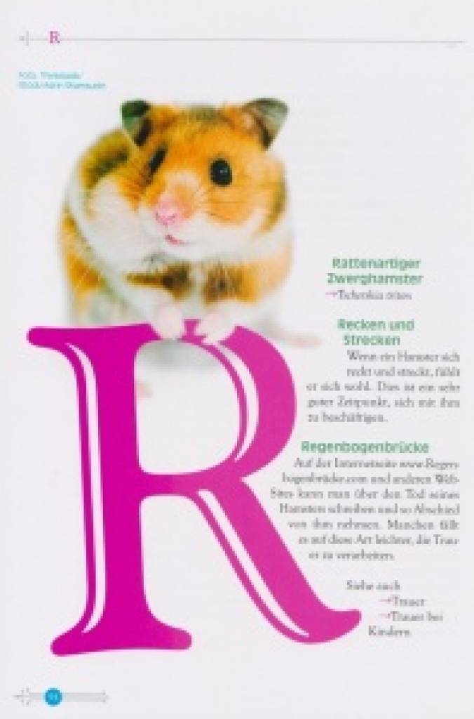 Das kleine Hamsterlexikon